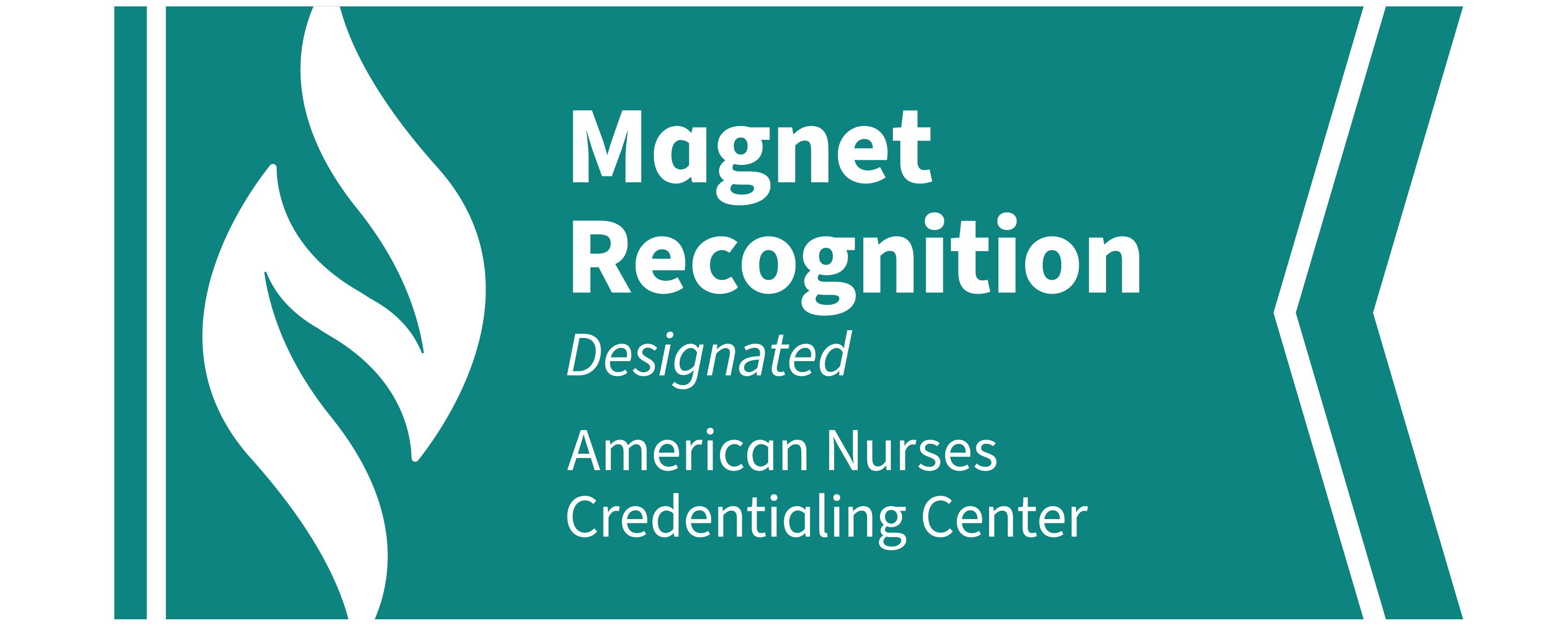 Magnet Recocognized